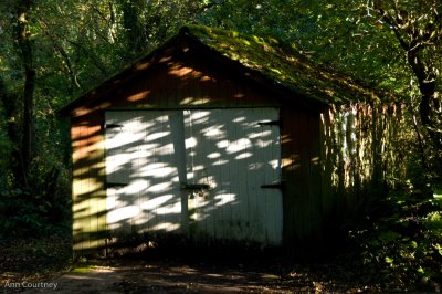 shed light