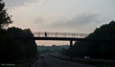 Overhead walker