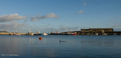 Harbour and Cobb just past high tide.