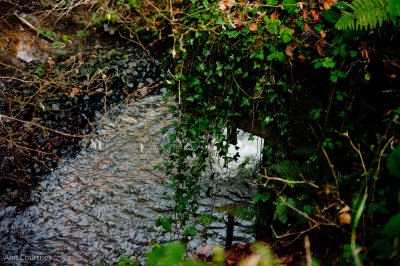 Flowing