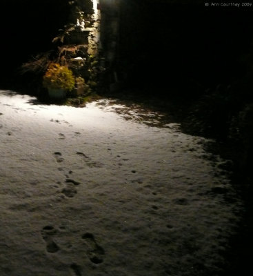 g1/63/768563/3/108864930.1kJ8c3sO.jpg