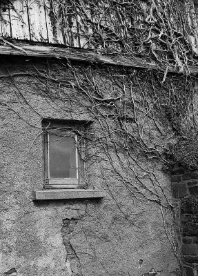 little window