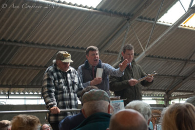 Auctioneer at work