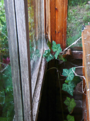 Outside coming in
