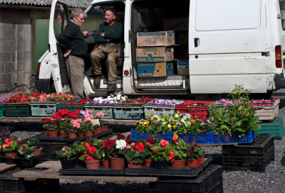 Plant seller