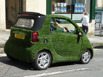The grass in Bath grows mainly on the ......cars!