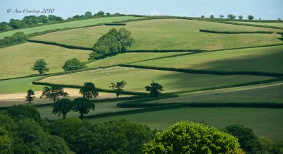  A little bit of Devon