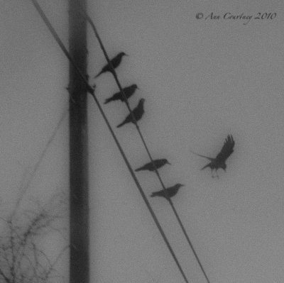 Gathering