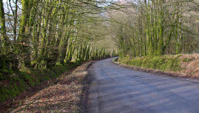 g1/63/768563/3/132568793.InOKAddA.jpg