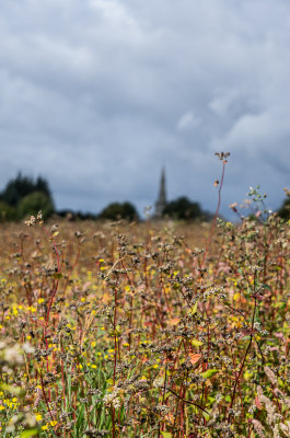 St. Mayeux church in the distance.