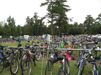TransitionArea1.JPG
