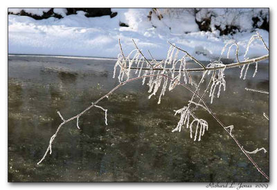 Cold Creek017 copy.jpg