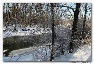 Cold Creek022 copy.jpg