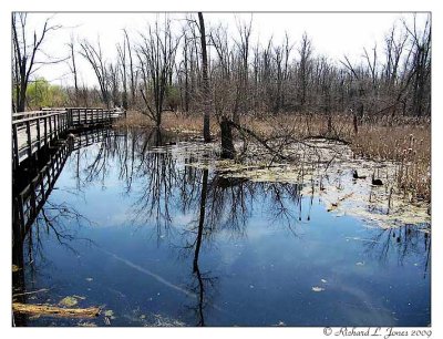 Great Baehre Swamp22.jpg