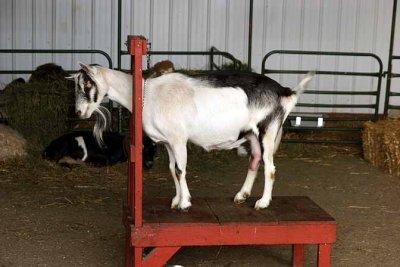 Kelkenberg Farm25.jpg