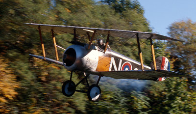 Camel 328B21.jpg