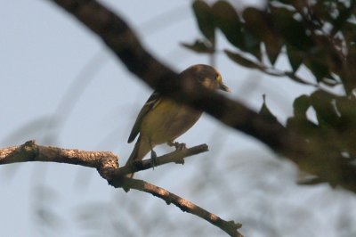919NatureQuest919 025.JPG