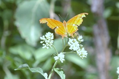 919NatureQuest919 109.JPG