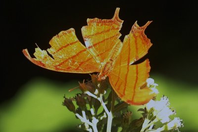 919NatureQuest919 119.JPG