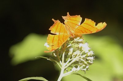 919NatureQuest919 120.JPG