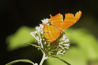 919NatureQuest919 121.JPG