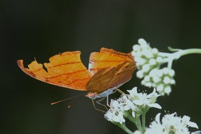 919NatureQuest919 152.JPG