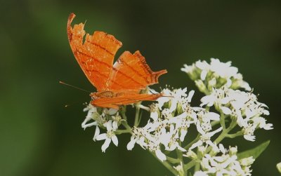 919NatureQuest919 154.JPG