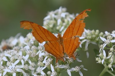 919NatureQuest919 157.JPG