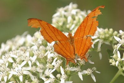 919NatureQuest919 158.JPG