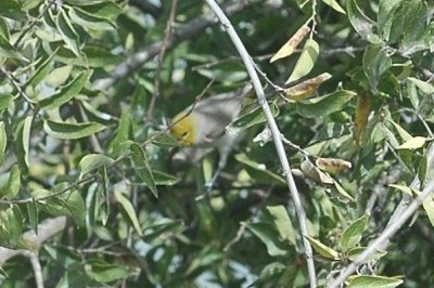 1109SAAud1109 113.JPG