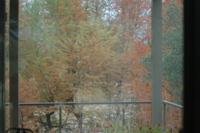 1110UvaldeFallHIlls1110 001.JPG