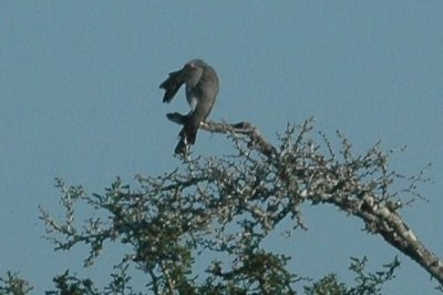 1102Valley1103 176.JPG