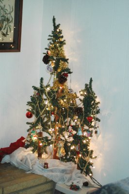 1124christmas1124 005.JPG