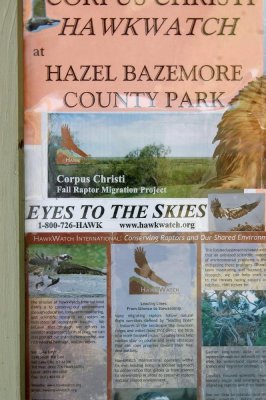827hazelbazemore 156.JPG