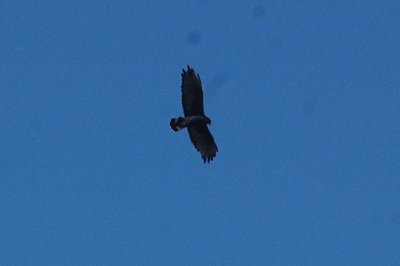 1017ParkChalkBluff 026.JPG