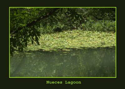 lagoon2222.jpg