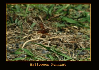 halloweeenpennant712 copy.jpg