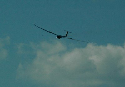 84sailplanes 031a.jpg
