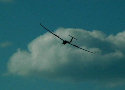 84sailplanes 056z.jpg