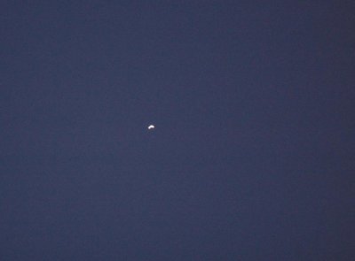 95neals 001jupiter.jpg