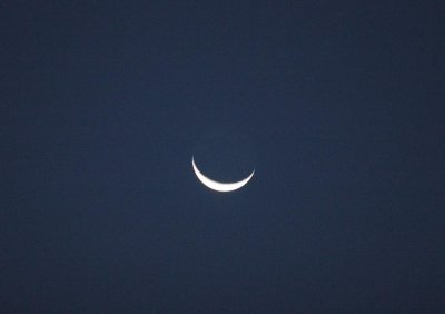95neals 002moon.jpg