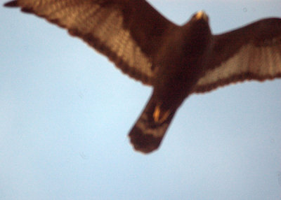 18zavala 014flybyzonetailed.jpg