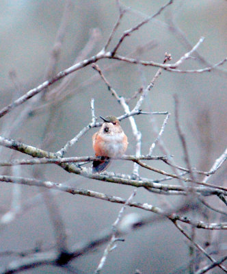 23reaganWells 017brrrrr.jpg