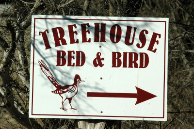 Treehouse Bed and Bird, Uvalde County