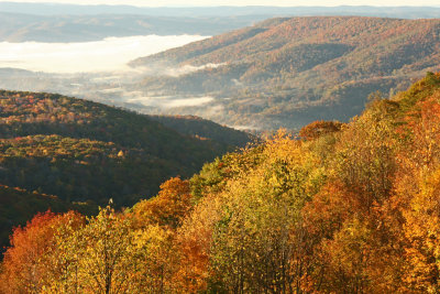 West Virginia Morning.