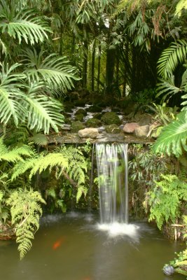 Costa Rica Botannical Garden.