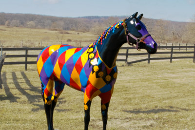 Horse-of-a-Different-Color