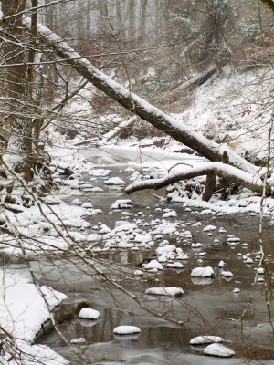 Winter-Stream