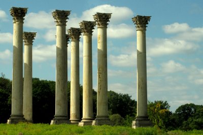 Columns  viewed from the bus.