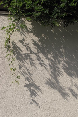 Interesting shadows